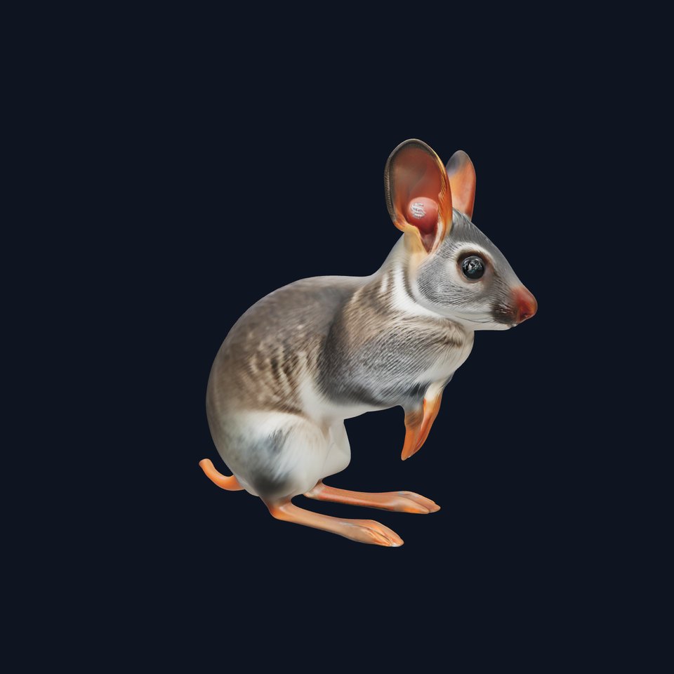 Bushytailed Bilby model pack
